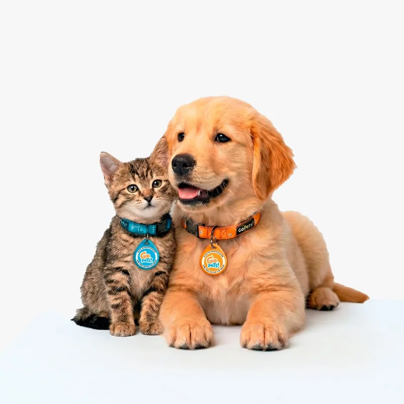Pet ID