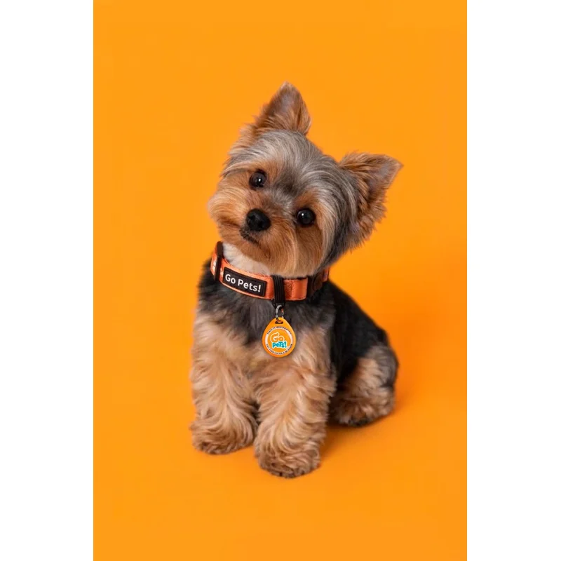 PET - ID + Collar (Talla XS-S)